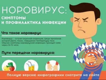 Норовирусная инфекция и ее профилактика